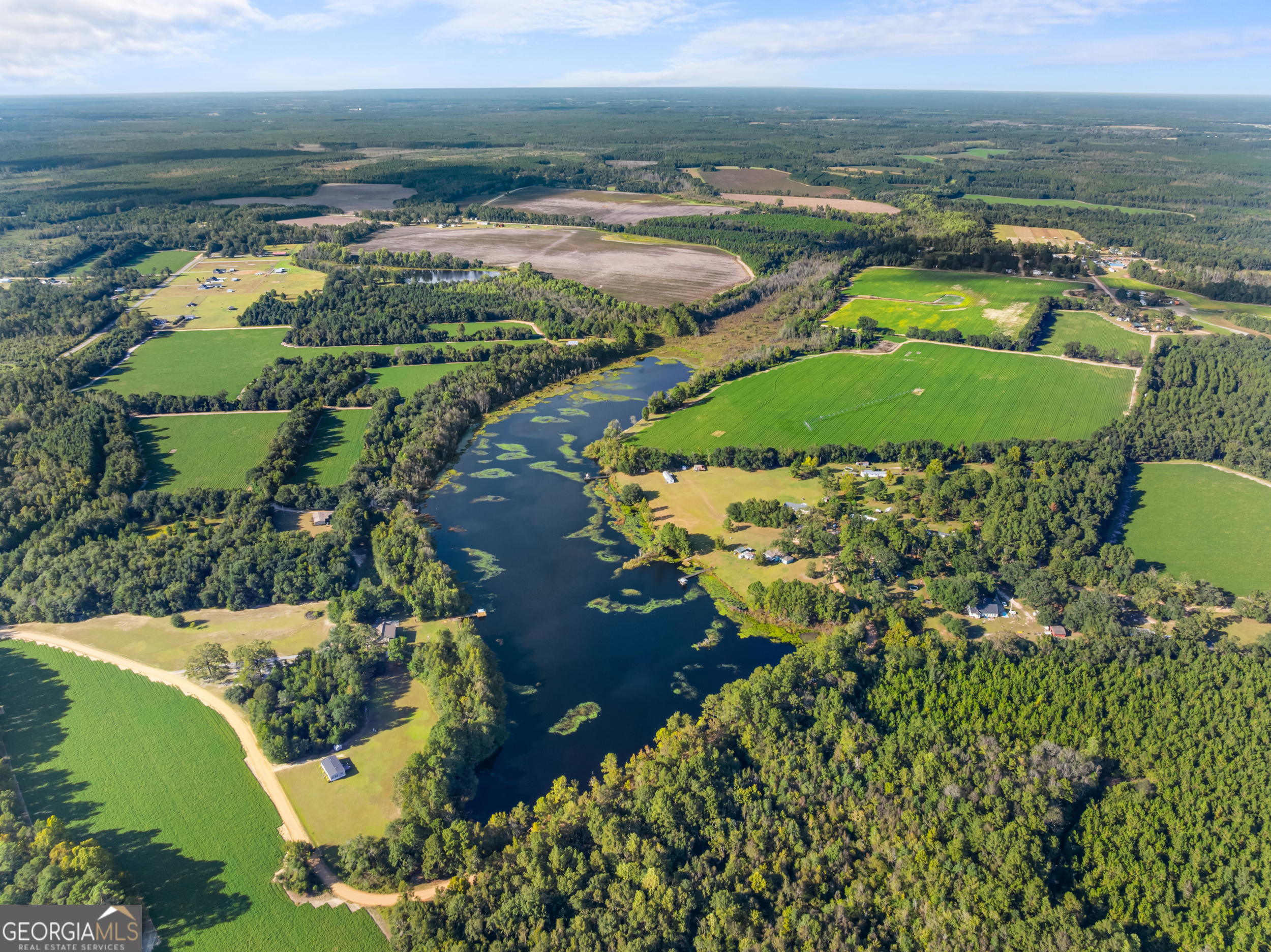 0 McElveen Kendrick Pond Road Brooklet, GA 30415 - Photo 8 of 15