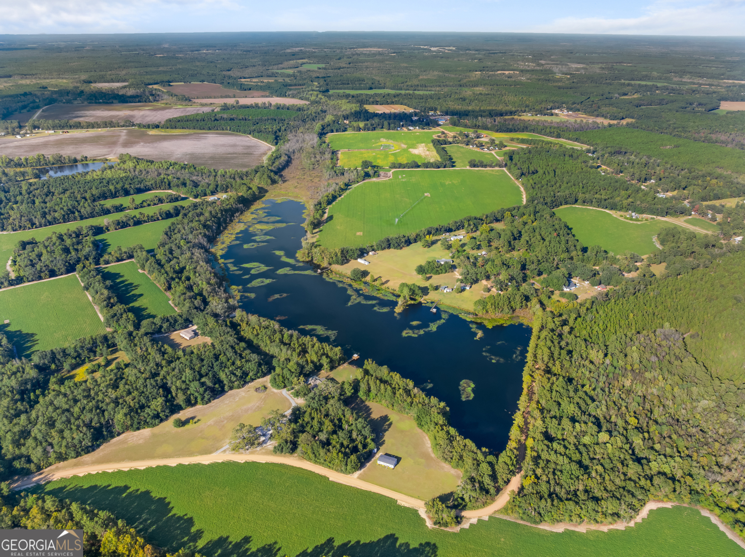 0 McElveen Kendrick Pond Road Brooklet, GA 30415 - Photo 9 of 15