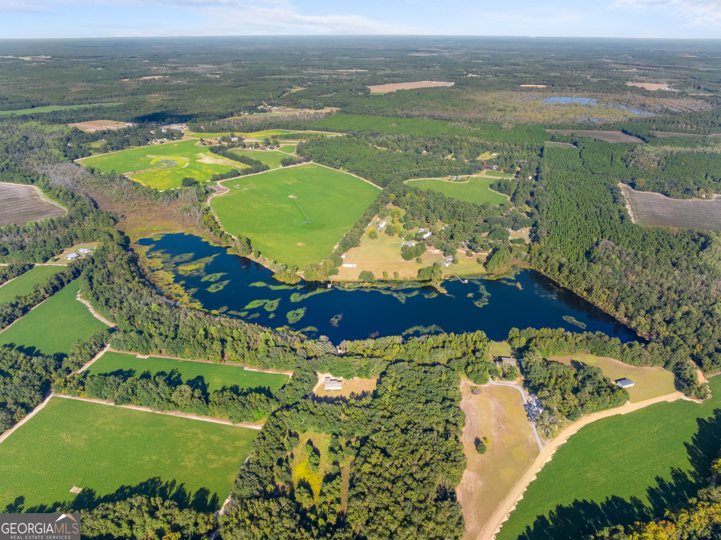 0 McElveen Kendrick Pond Road Brooklet, GA 30415 - Photo 10 of 15