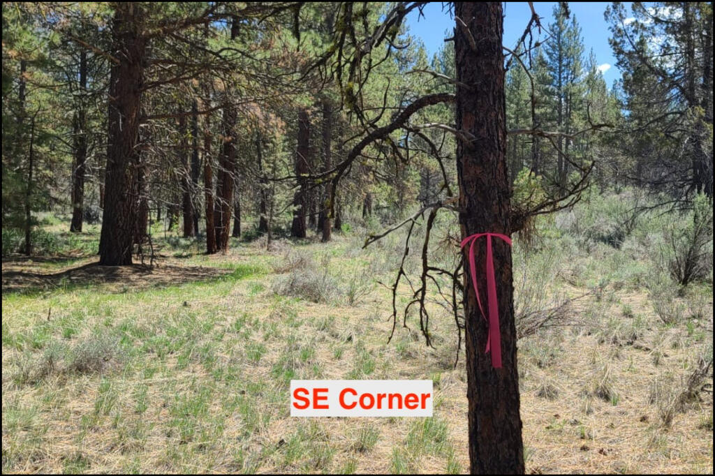 288110 Tableland Road Chiloquin, OR 97624 - Photo 4 of 24 02