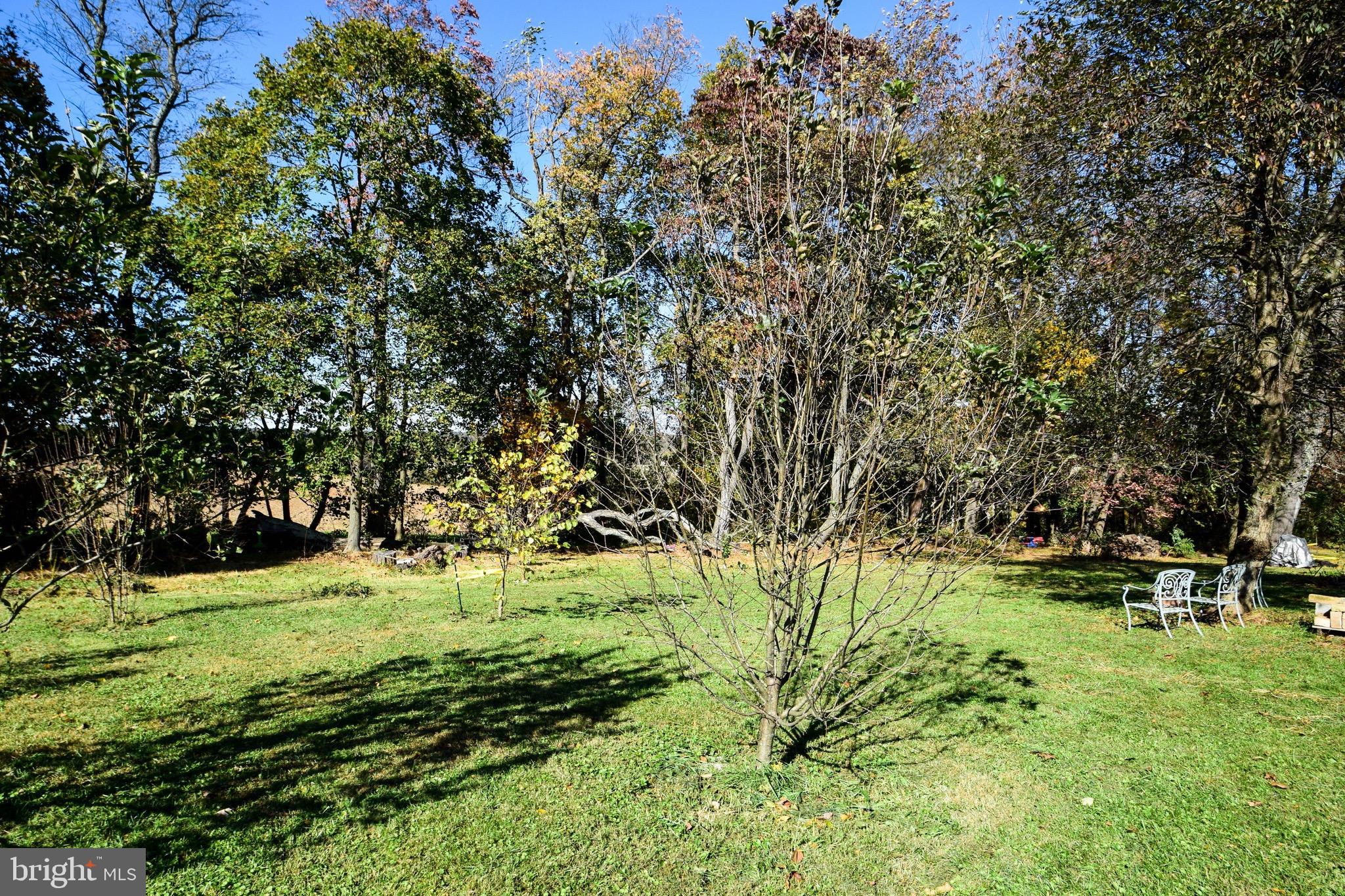 4208 Federal Hill Road Street, MD 21154 - Photo 25 of 30 Exterior (Rear)