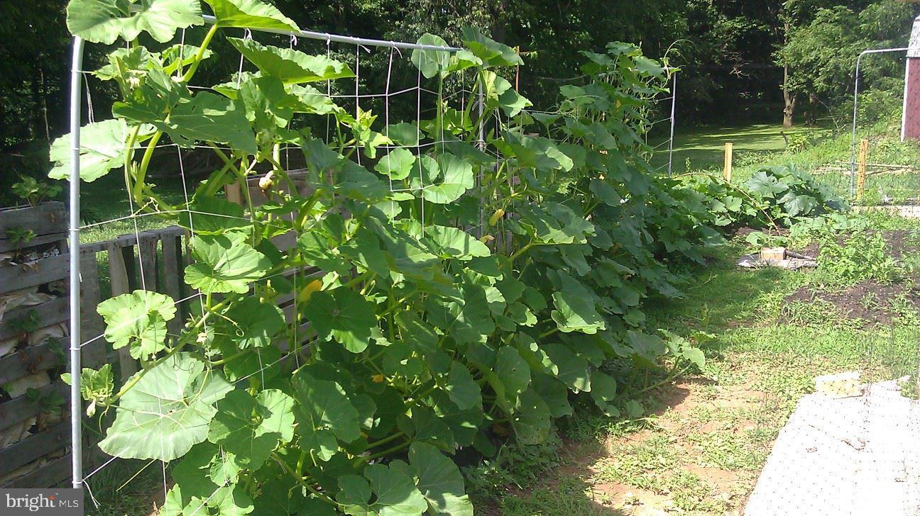 4208 Federal Hill Road Street, MD 21154 - Photo 30 of 30 Vegetable Garden