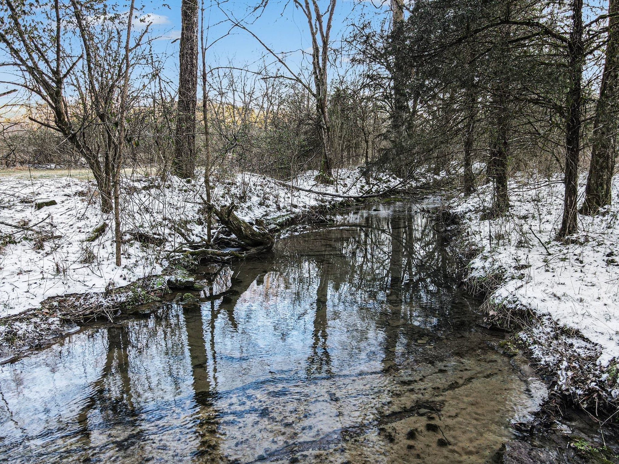 44 Opossum Hollow Road Gordonsville, TN 38563 - Photo 1 of 28 a view of a yard with plants and trees