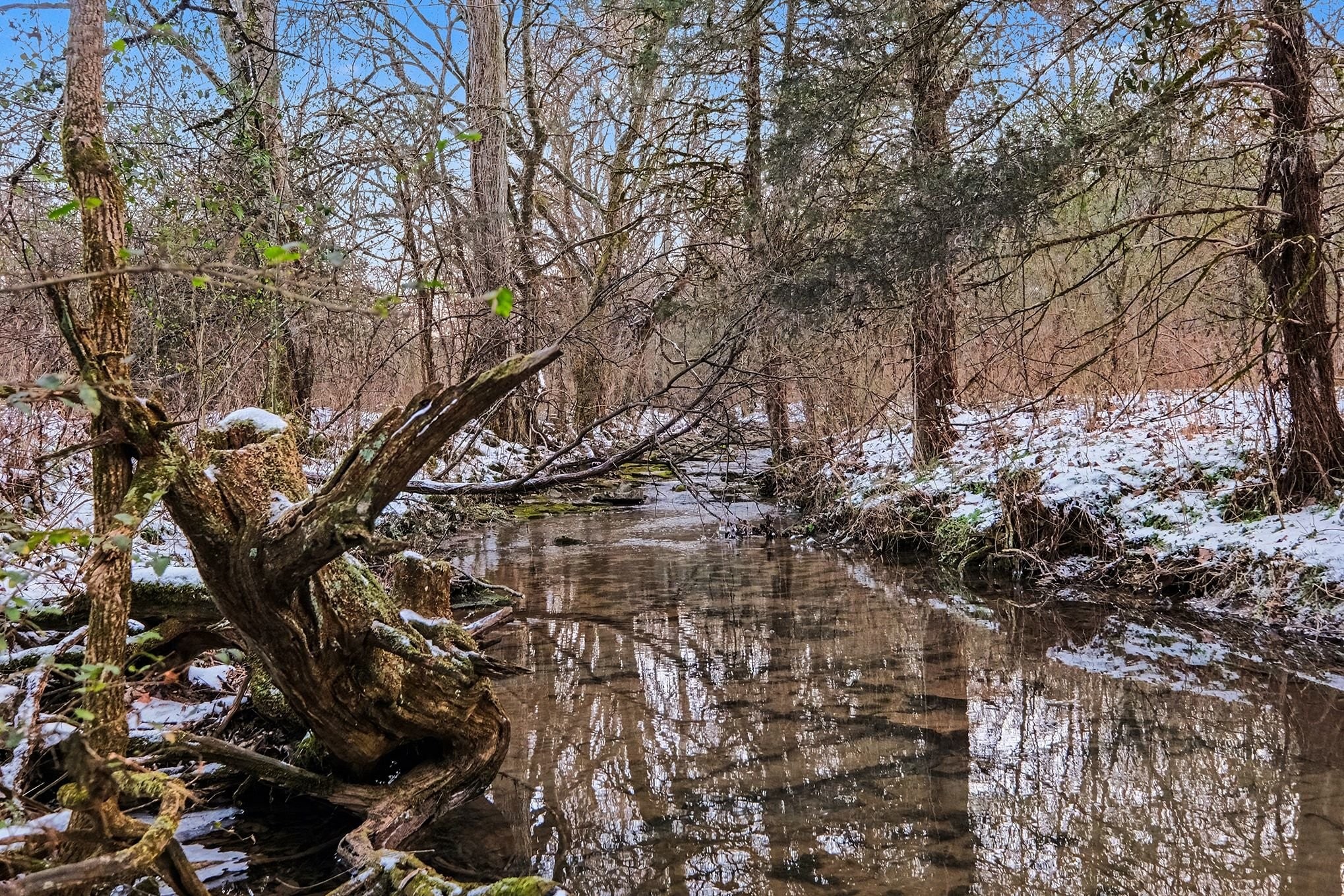 44 Opossum Hollow Road Gordonsville, TN 38563 - Photo 16 of 28