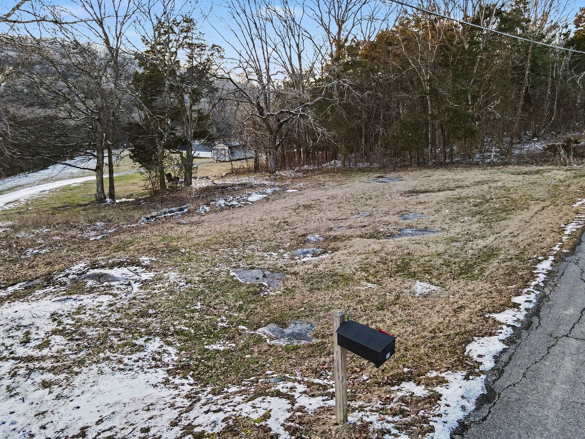 44 Opossum Hollow Road Gordonsville, TN 38563 - Photo 19 of 28 a view of a yard with a tree