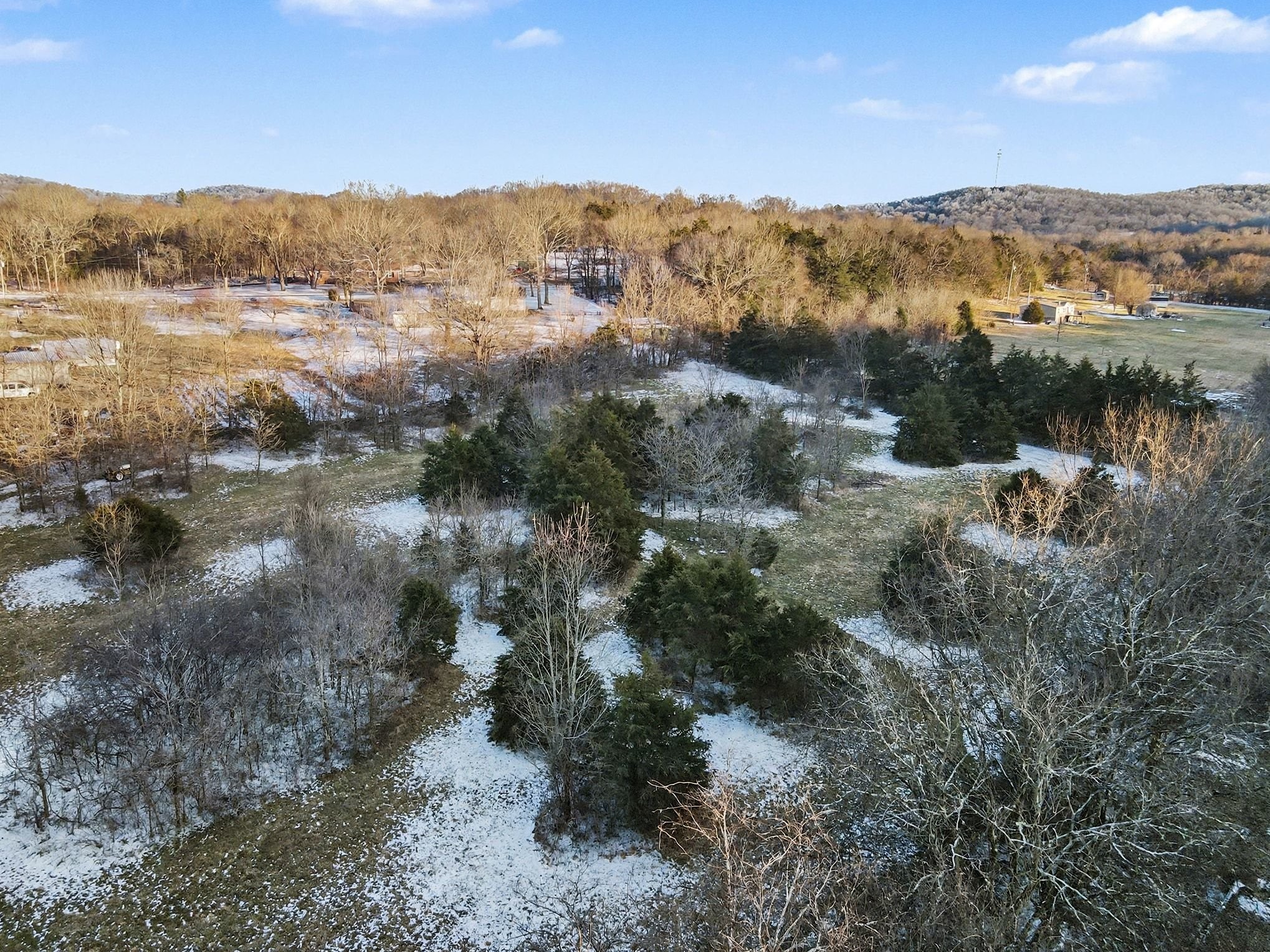 44 Opossum Hollow Road Gordonsville, TN 38563 - Photo 20 of 28 a view of a forest with mountains in the background