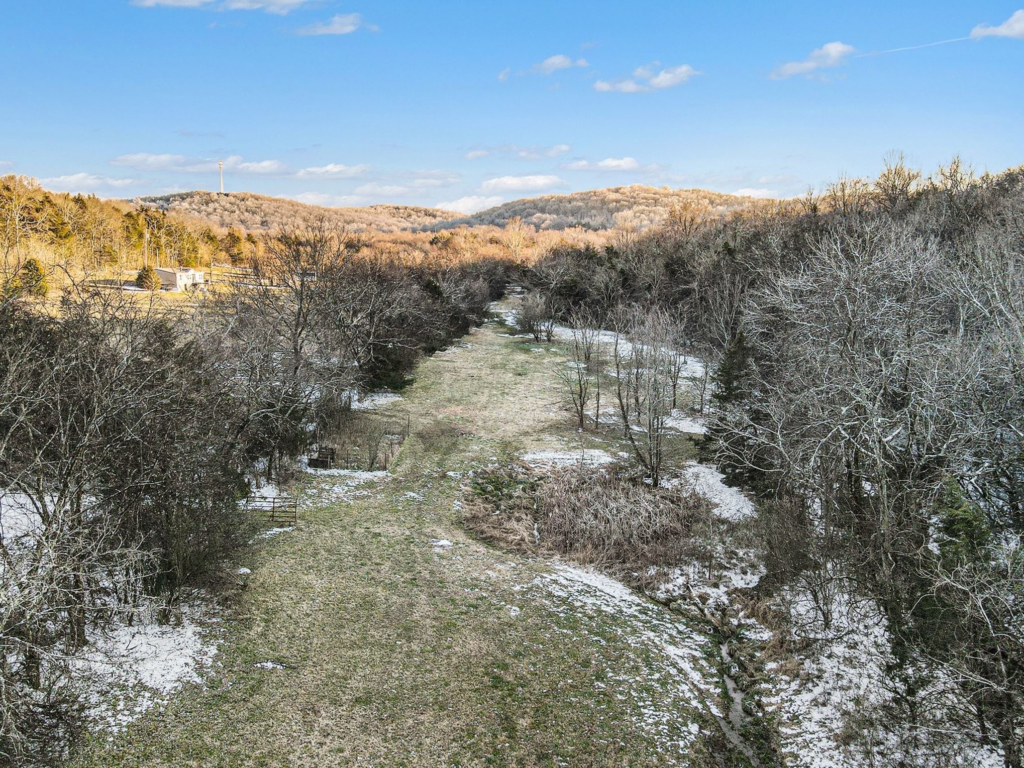 44 Opossum Hollow Road Gordonsville, TN 38563 - Photo 23 of 28 a view of a forest with mountains in the background