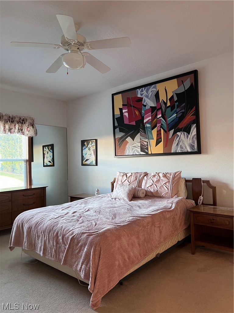 335 Village Drive Seven Hills, OH 44131 - Photo 13 of 14 Master bedroom