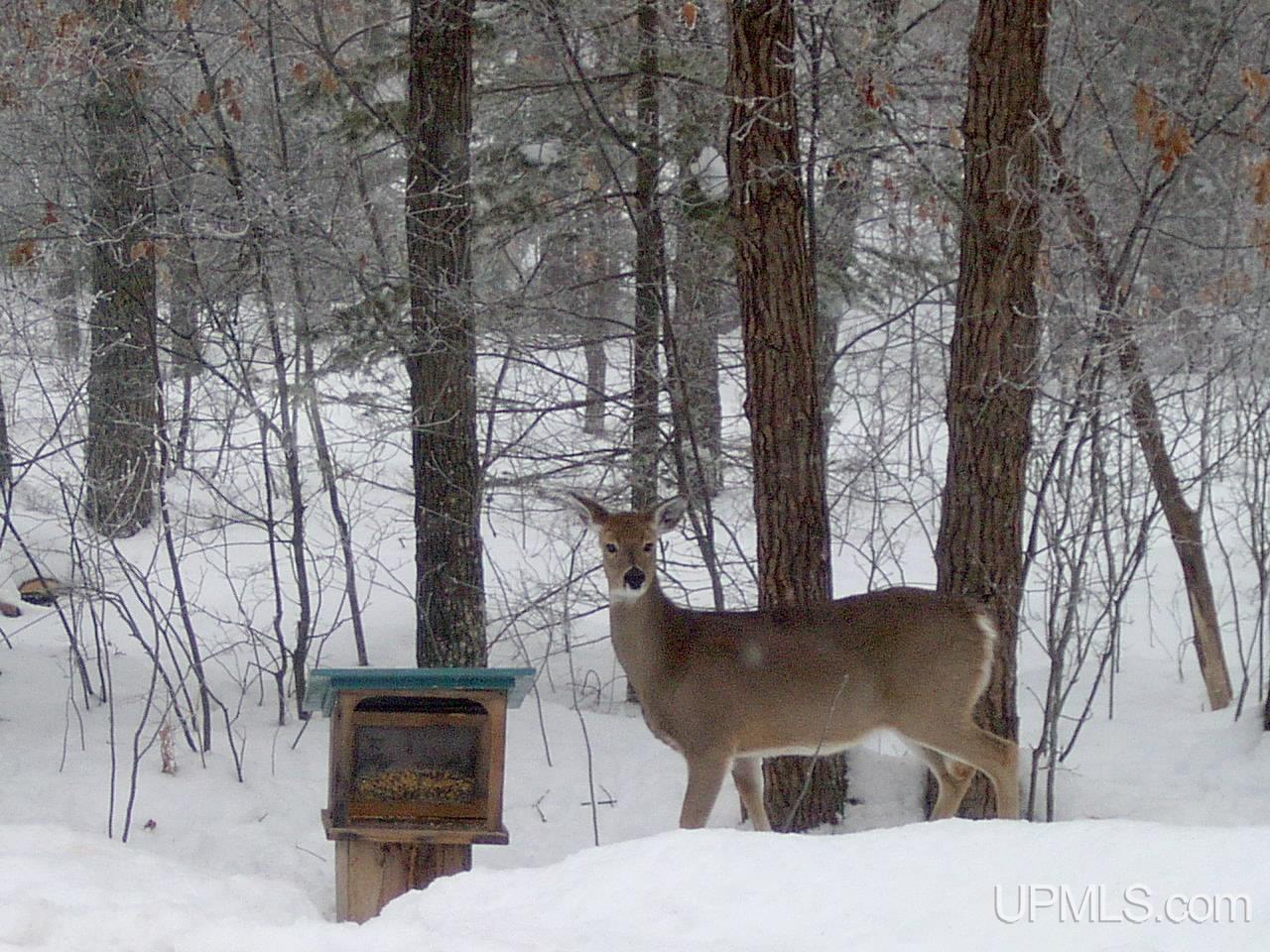 9752 County 513 T Road Rapid River, MI 49878 - Photo 24 of 24 Gallery Image 24