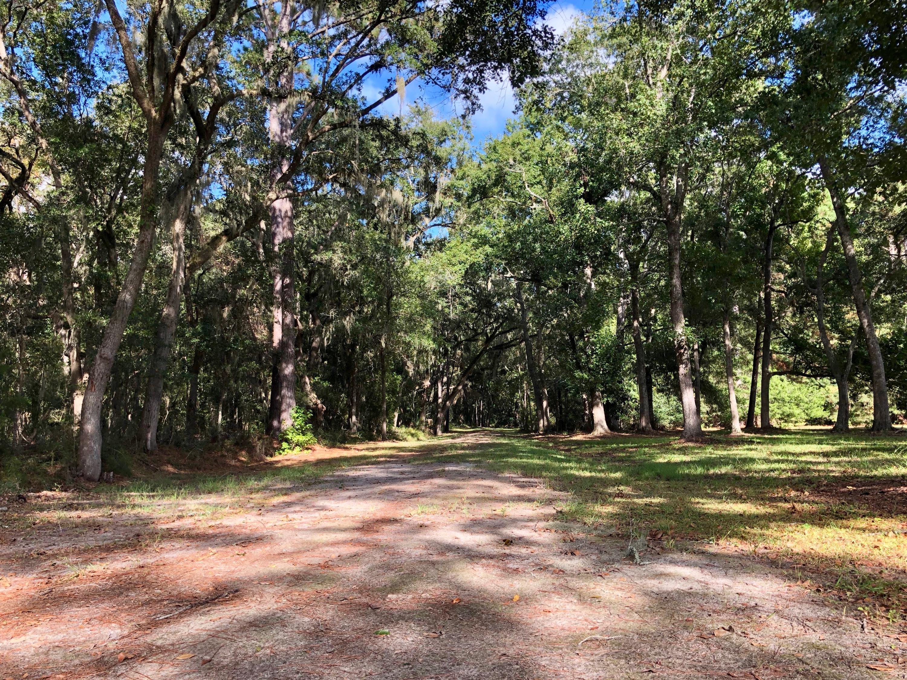1463 Wescott Road Edisto Island, SC 29438 - Photo 18 of 25 IMG_2081