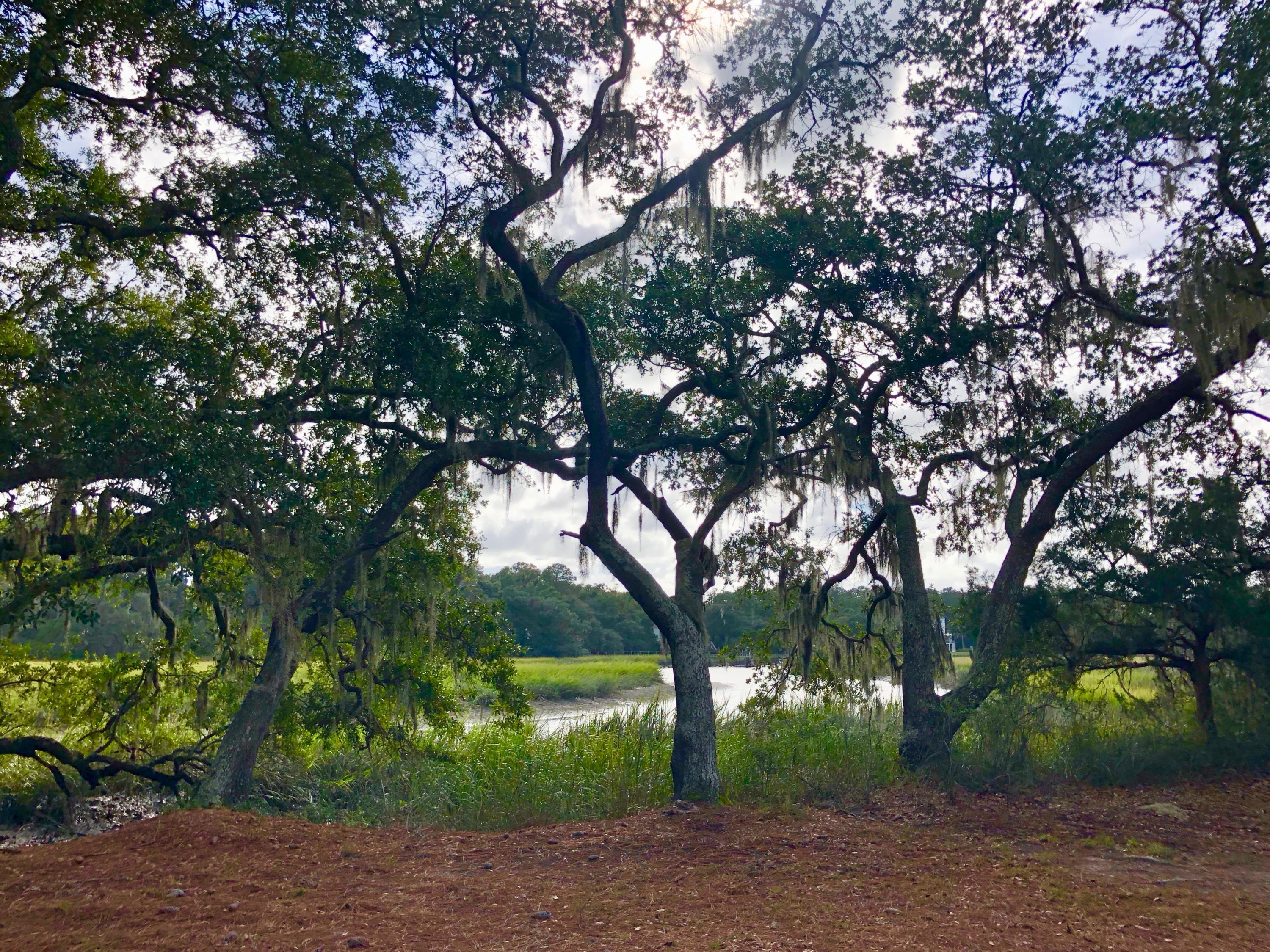 1463 Wescott Road Edisto Island, SC 29438 - Photo 22 of 25 IMG_2090