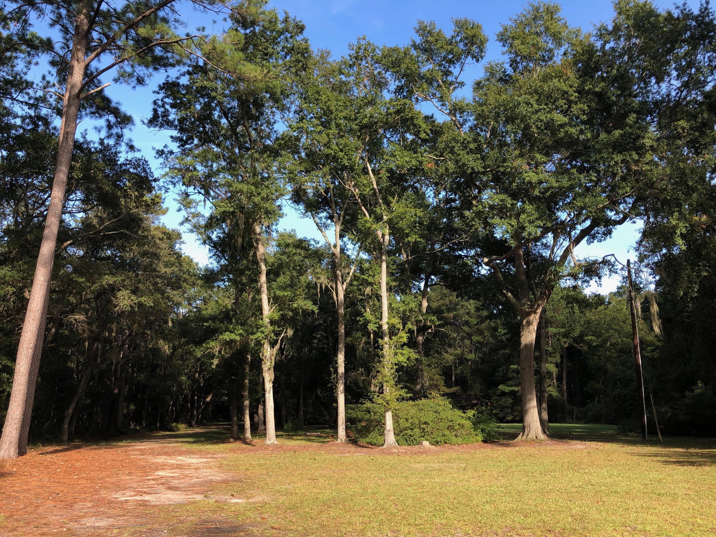 1463 Wescott Road Edisto Island, SC 29438 - Photo 24 of 25 IMG_2101