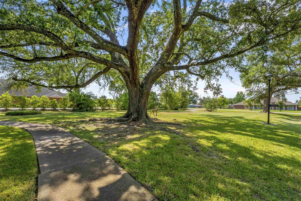 725 West Sale Road Lake Charles, LA 70605 - Photo 2 of 43 Gallery Image 2