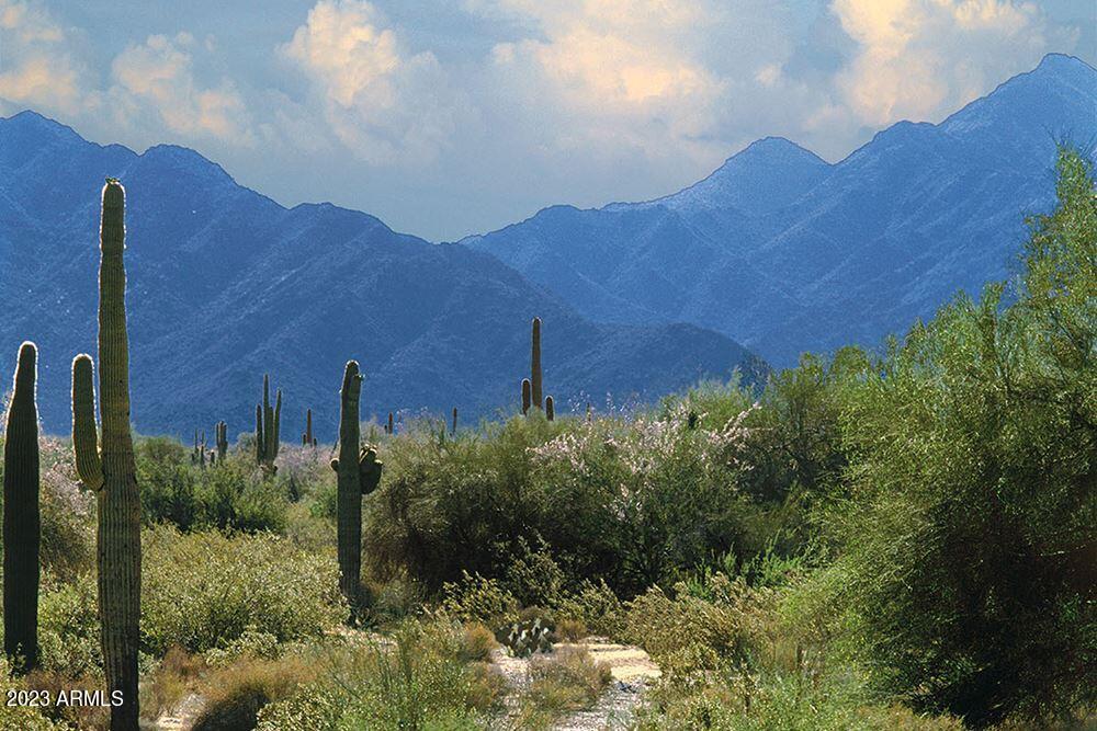 18347 Verdin Road Goodyear, AZ 85338 - Photo 41 of 54 Desert