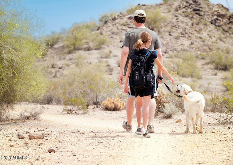 18347 Verdin Road Goodyear, AZ 85338 - Photo 48 of 54 Hike