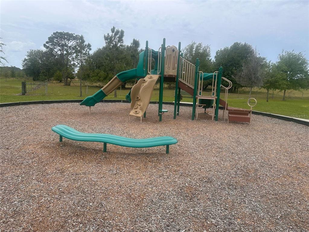 3993 Rory Oak Circle Apopka, FL 32703 - Photo 19 of 19 a view of a park