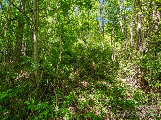 $51,500 | 0 Hamilton Acrs Drive, Hendersonville, NC 28791