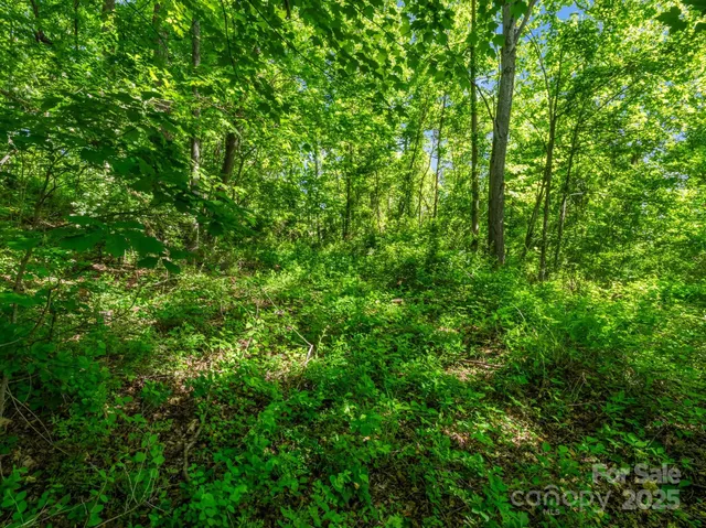 $51,500 | 0 Hamilton Acrs Drive, Hendersonville, NC 28791