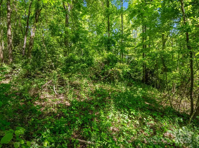 $51,500 | 0 Hamilton Acrs Drive, Hendersonville, NC 28791