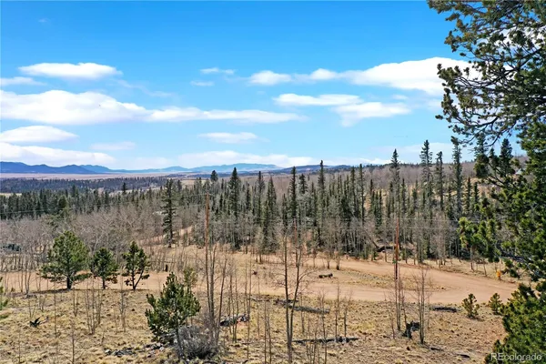 a view of a dry yard covered with snow in the background