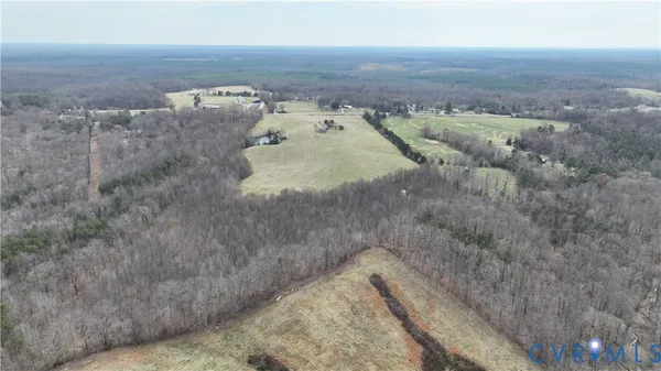 a view of a dry yard with trees