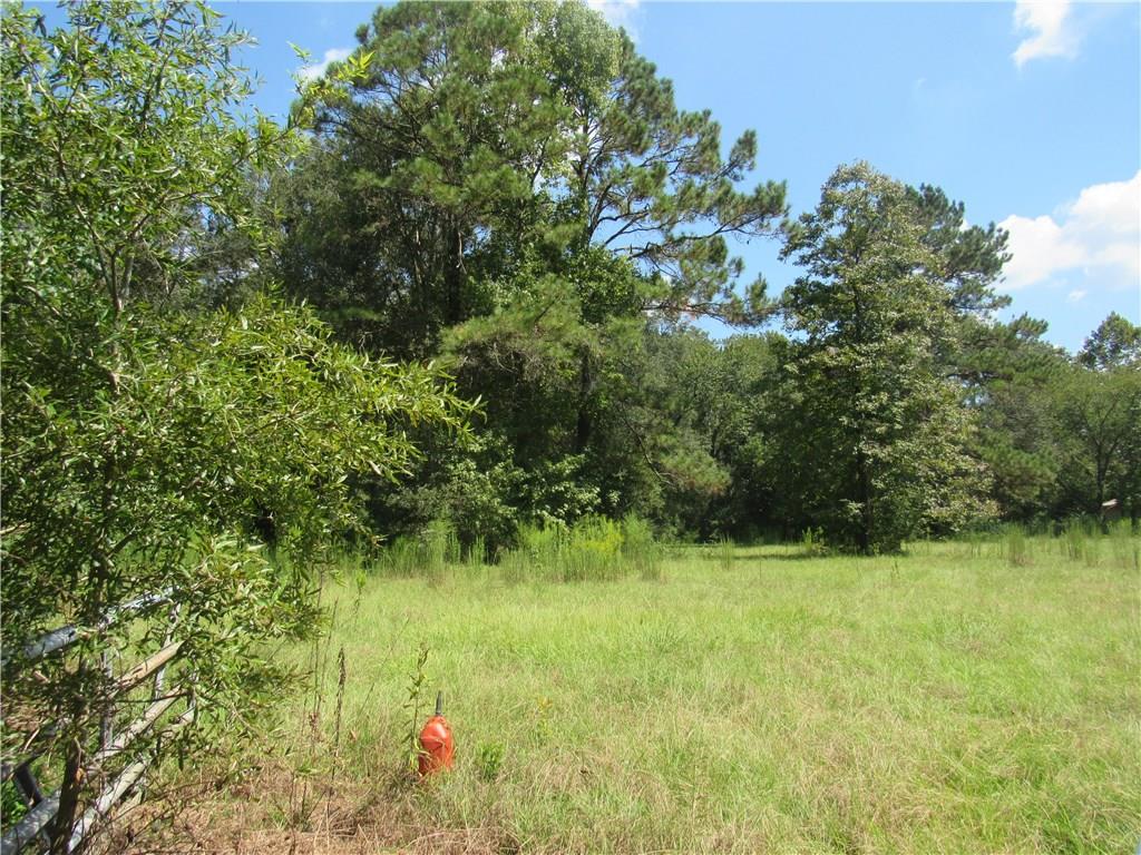 53275 Cason Road Independence, LA 70443 - Photo 16 of 20 Gallery Image 16