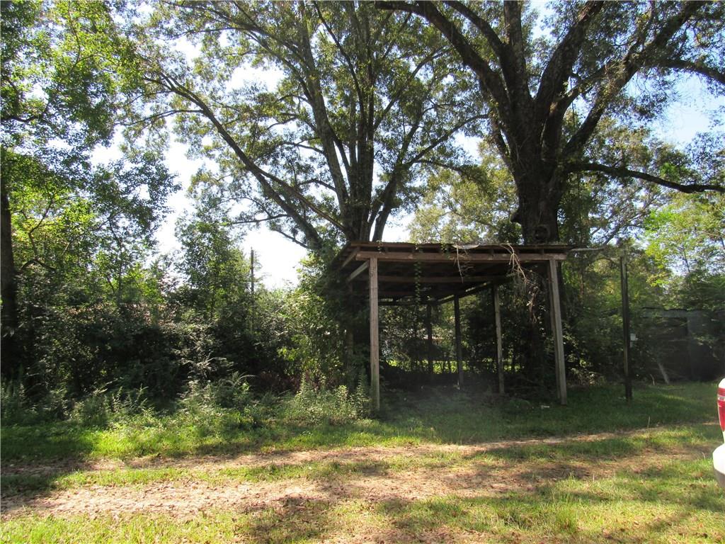 53275 Cason Road Independence, LA 70443 - Photo 4 of 20 Gallery Image 4