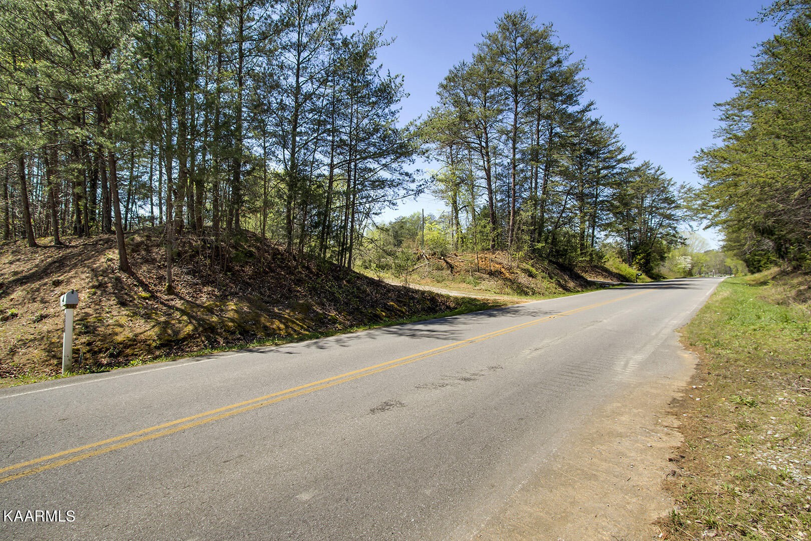 3320 Ballplay Road Tellico Plains, TN 37385 - Photo 6 of 21 a view of a road with a yard