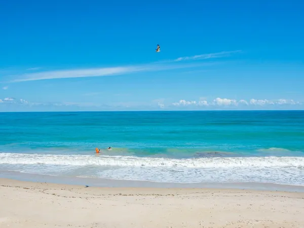 $3,000 | 4049 Ocean Drive, Unit 204, Vero Beach, FL 32963