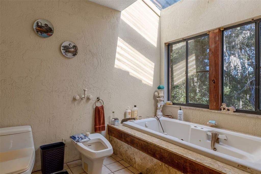 27910 Debbie Road Leesburg, FL 34748 - Photo 42 of 99