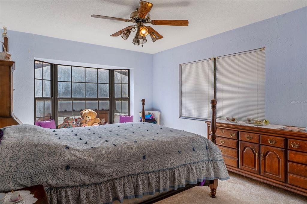 27910 Debbie Road Leesburg, FL 34748 - Photo 43 of 99