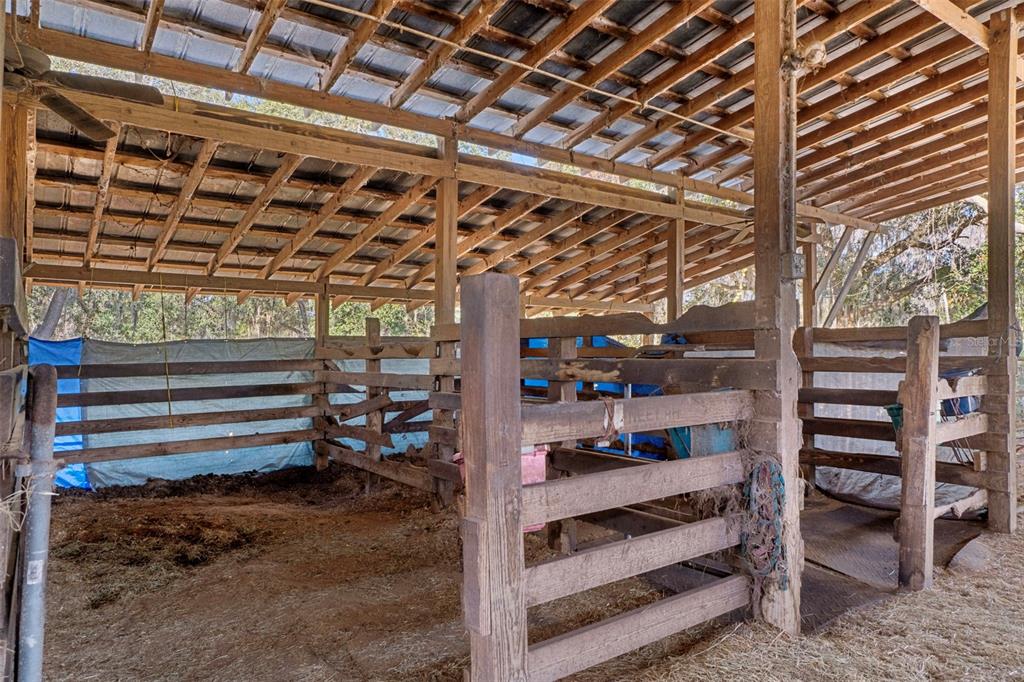 27910 Debbie Road Leesburg, FL 34748 - Photo 60 of 99 a view of storage room