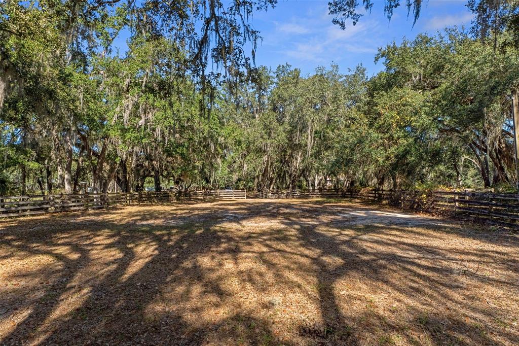 27910 Debbie Road Leesburg, FL 34748 - Photo 68 of 99 a view of a yard with a tree
