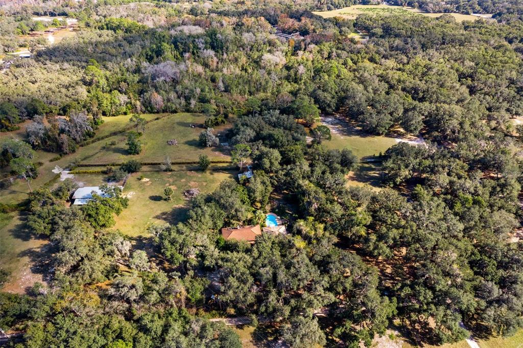 27910 Debbie Road Leesburg, FL 34748 - Photo 79 of 99