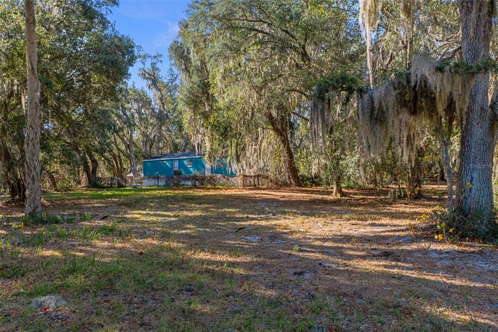 27910 Debbie Road Leesburg, FL 34748 - Photo 90 of 99