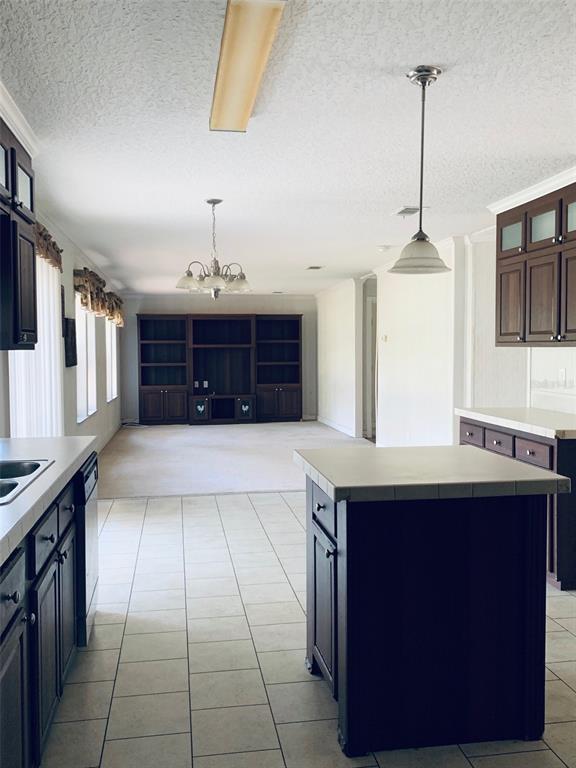 27910 Debbie Road Leesburg, FL 34748 - Photo 97 of 99 a kitchen with a sink a counter top space and cabinets