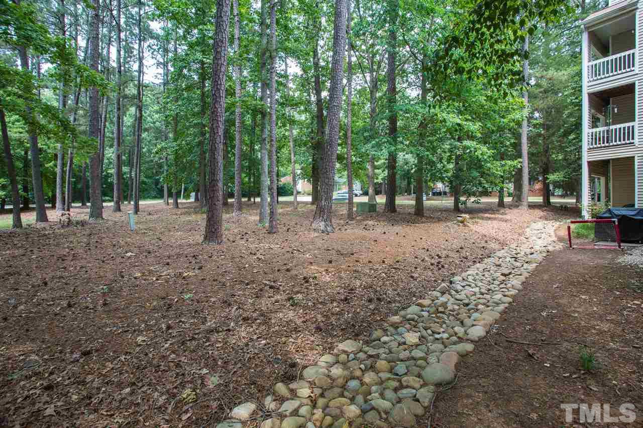 6000 Winterpointe Lane, Unit 203 Raleigh, NC 27606 - Photo 4 of 26 Gallery Image 4