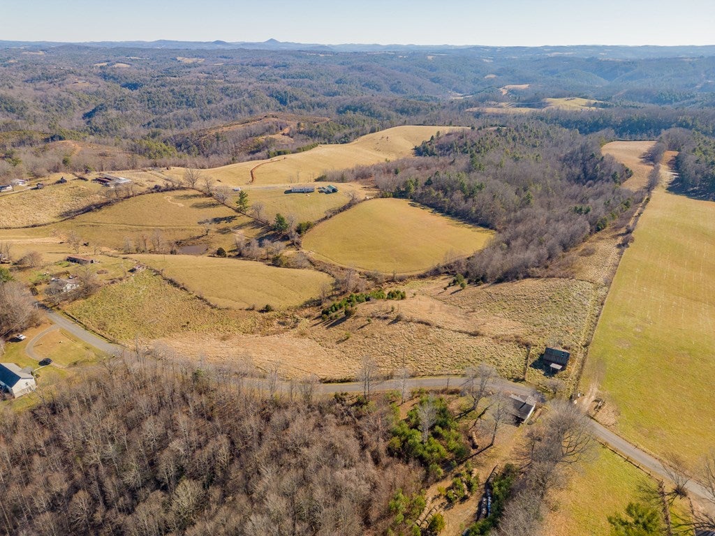 1530 Ridge Road Austinville, VA 24312 - Photo 9 of 62 Gallery Image 9