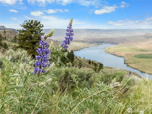 $3,300,000 | 0 Fielder Road, Mansfield, WA 98830