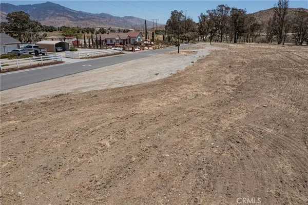 a view of a dry yard with trees