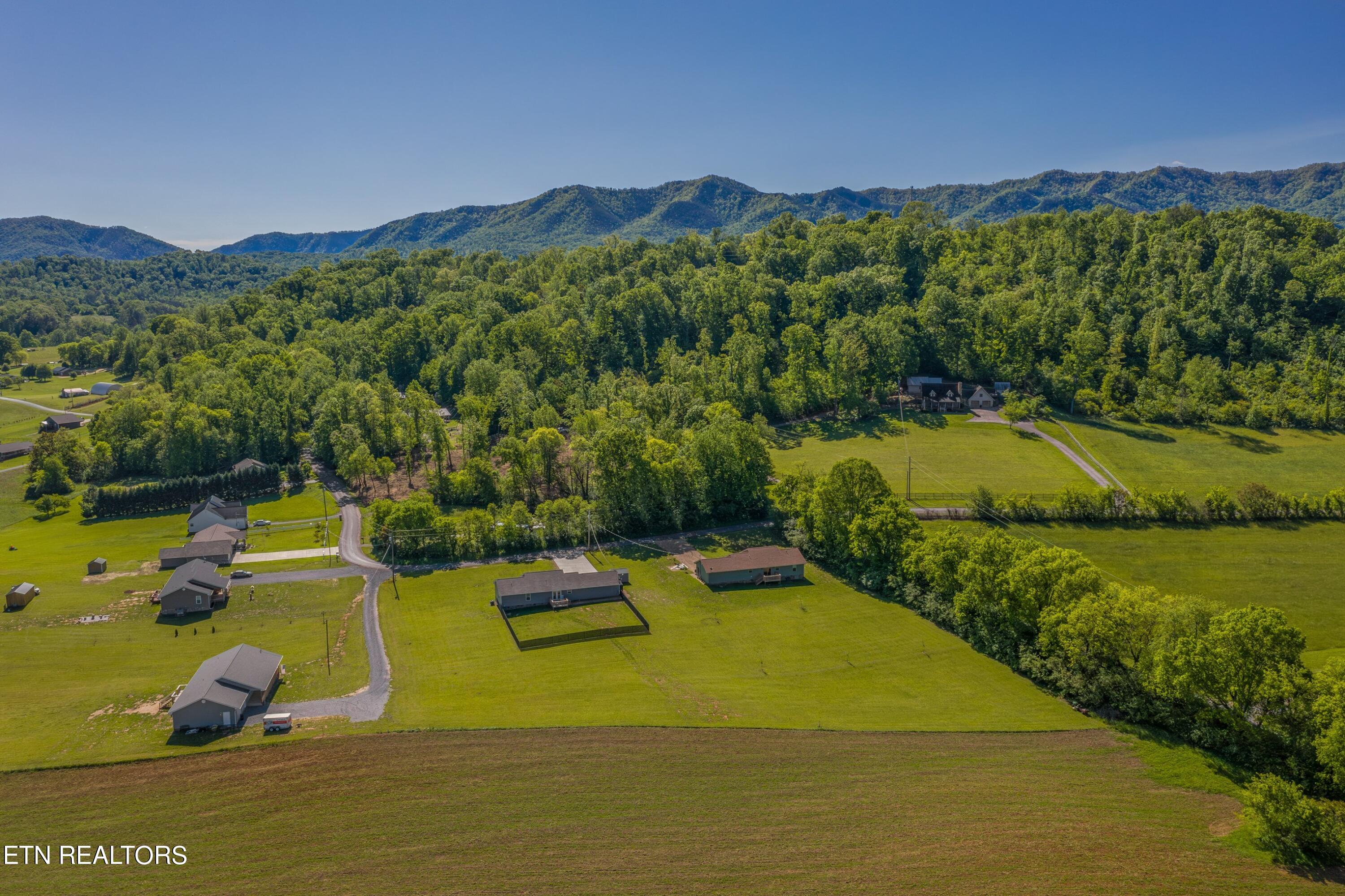 1151 Camellia Road Newport, TN 37821 - Photo 29 of 40 Property-16.jpg-SMALL