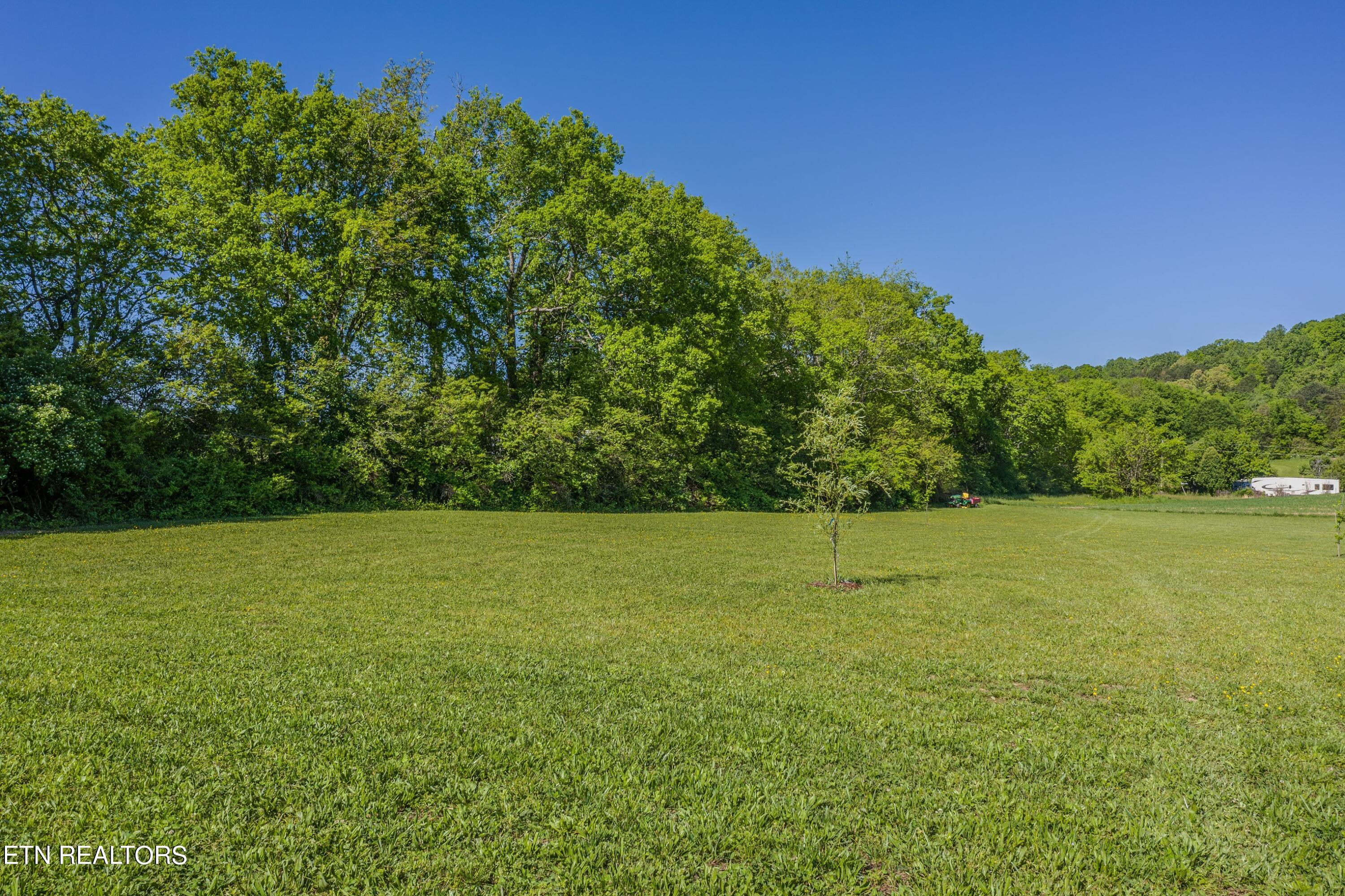 1151 Camellia Road Newport, TN 37821 - Photo 30 of 40 Property-9.jpg-SMALL