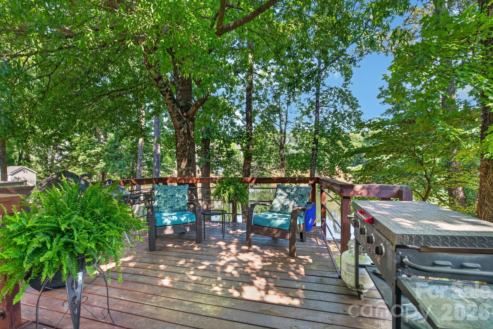 136 Rose Tree Lane Fort Mill, SC 29715 - Photo 29 of 48