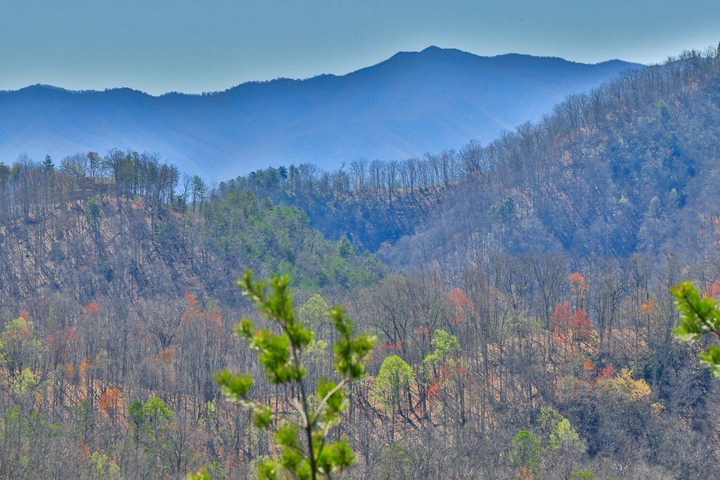 2969 Redtail Road Sevierville, TN 37862 - Photo 46 of 49 Gallery Image 46