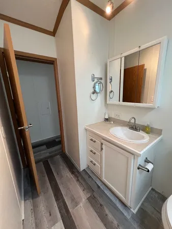 a bathroom with a sink a mirror and a toilet