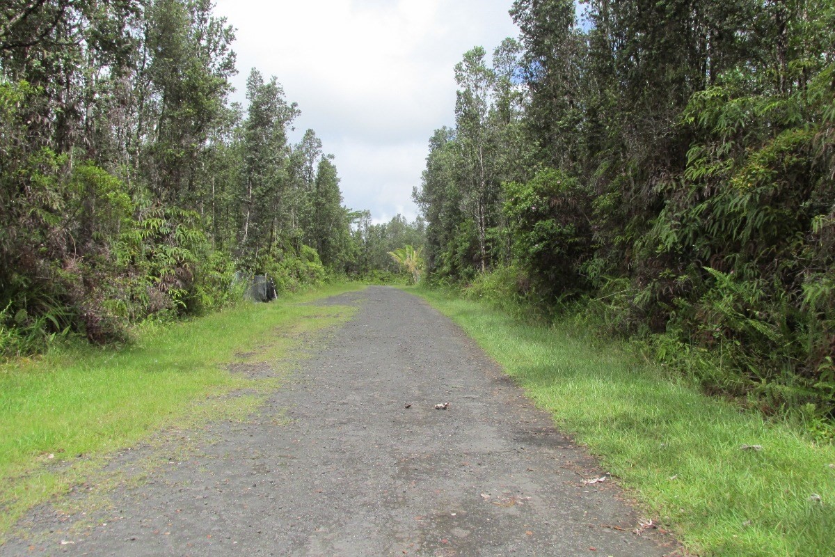 103 Hana Road Pahoa, HI 96778 - Photo 2 of 3 Gallery Image 2