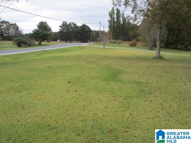 1024 Highway 12 Oneonta Al Oneonta, AL 35121 - Photo 10 of 14