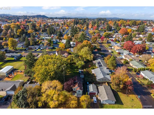 a big yard with trees