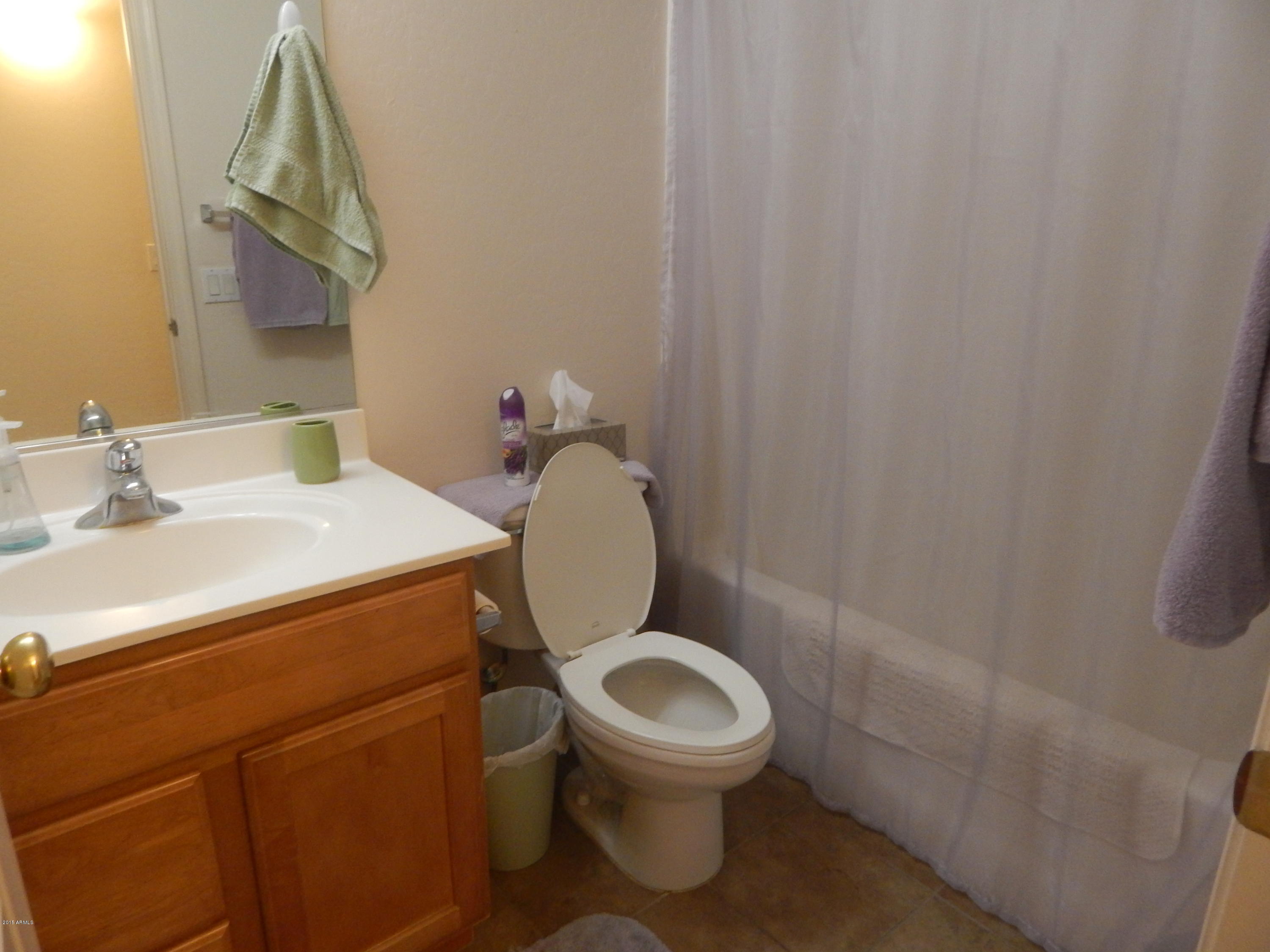 17265 West Apache Street Goodyear, AZ 85338 - Photo 18 of 21 DSCN4328
