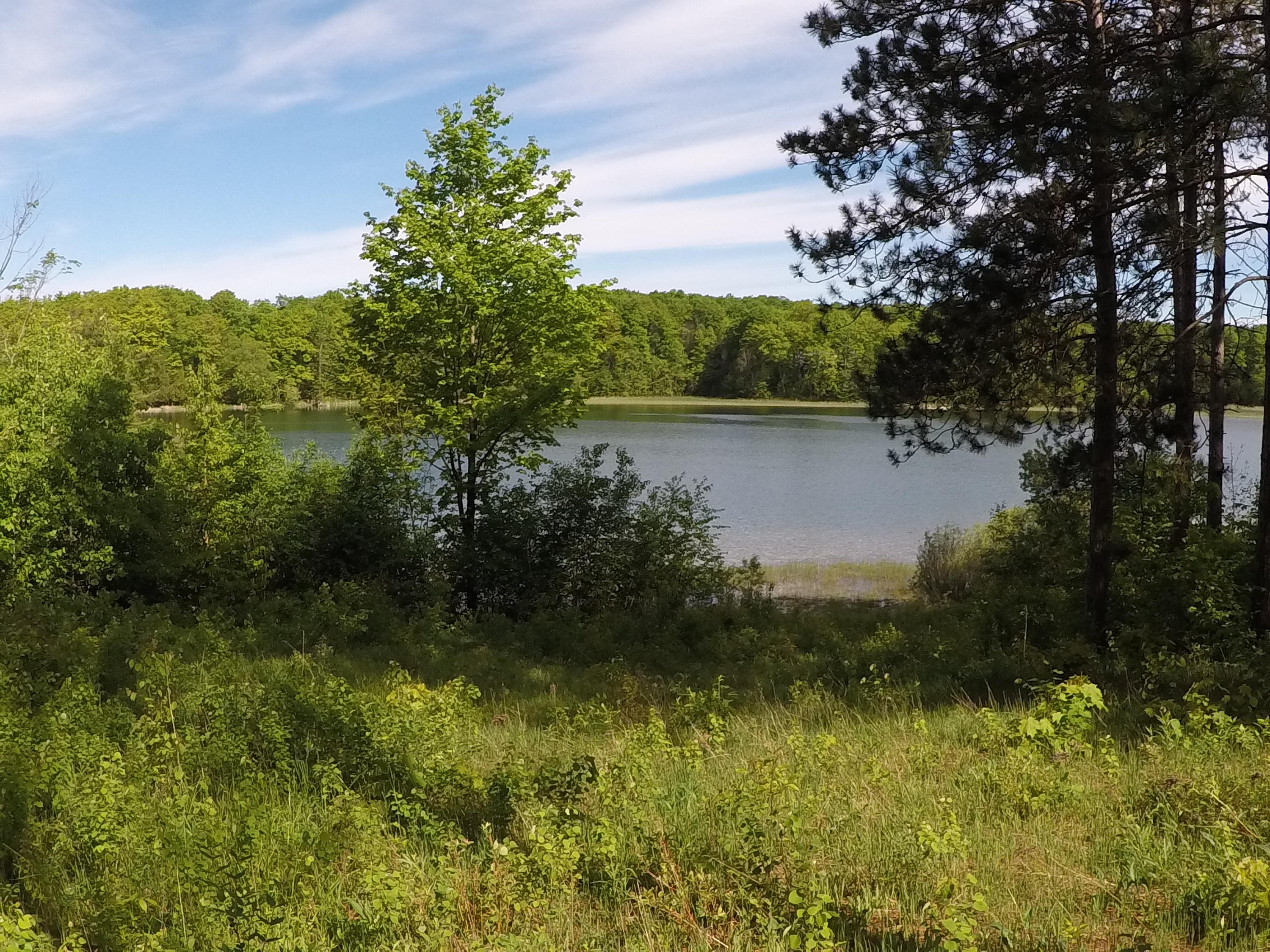 1922 Wilkinson Road Gaylord, MI 49735 - Photo 17 of 27 Gallery Image 17